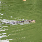 IMG_8503.JPG