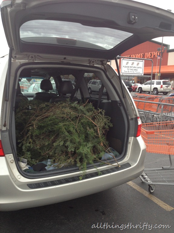 [photo%2520%252810%2529%255B4%255D.jpg]