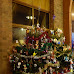 P1210514.JPG
