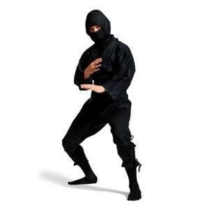 [ninja%255B3%255D.jpg]