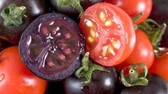 purple-tomatoes purple-tomatoes