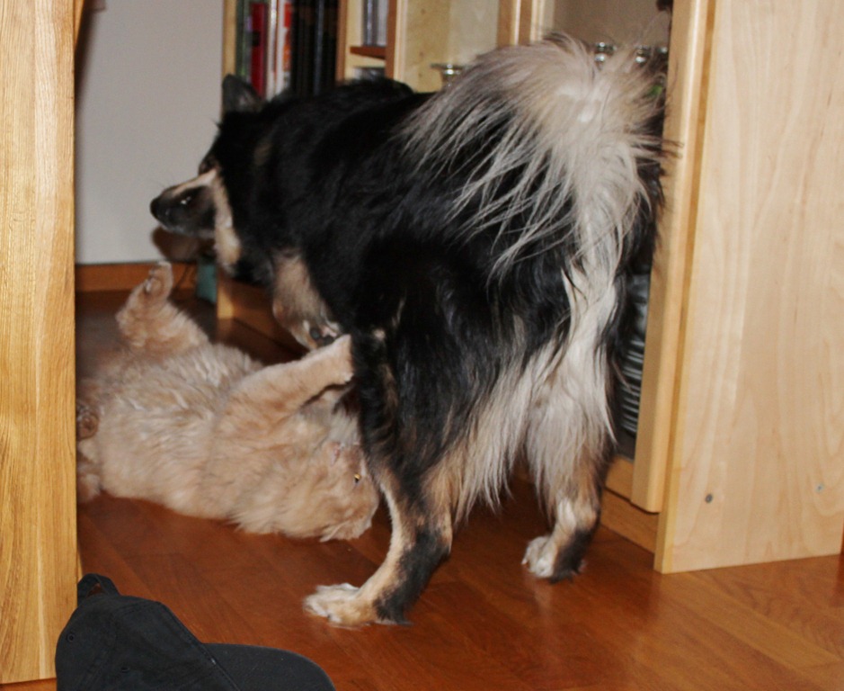 [IMG_0391%255B4%255D.jpg]