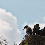 IMG_6776.JPG