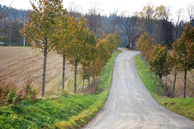 [Autumn%25202011%2520-%2520Entrence%2520to%2520Norwegian%2520Farm%2520Oct%252016%255B3%255D.jpg]
