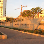 IMG_3372.JPG