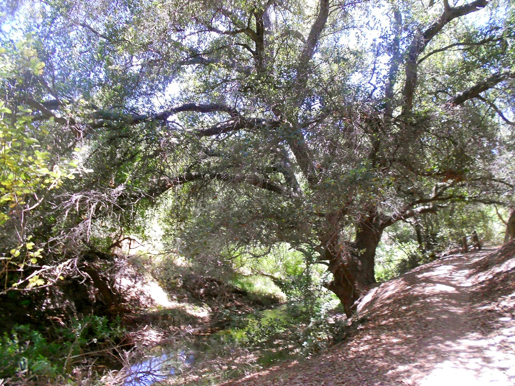 [DSCN5881%255B4%255D.jpg]