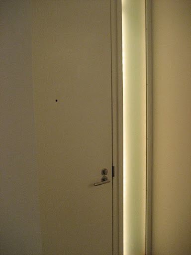 The front door has a strip of lighting in the glass panel next to it.  I like the effect it gives and often use it as night light.