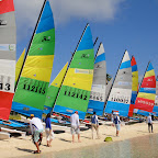 DSC05374.JPG
