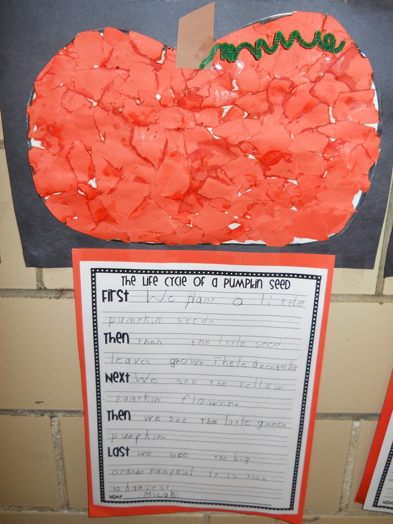 [DSCN00346.jpg]