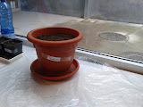 2012-01-19 16.07.17.jpg