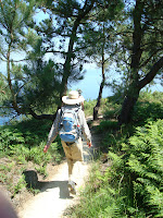 Back on the trail