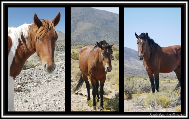 Cold Creek Horse Triptych-3