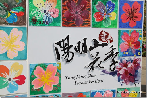 2010陽明山花季-圖示 2010陽明山花季-圖示