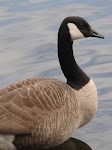 DSC03167.JPG