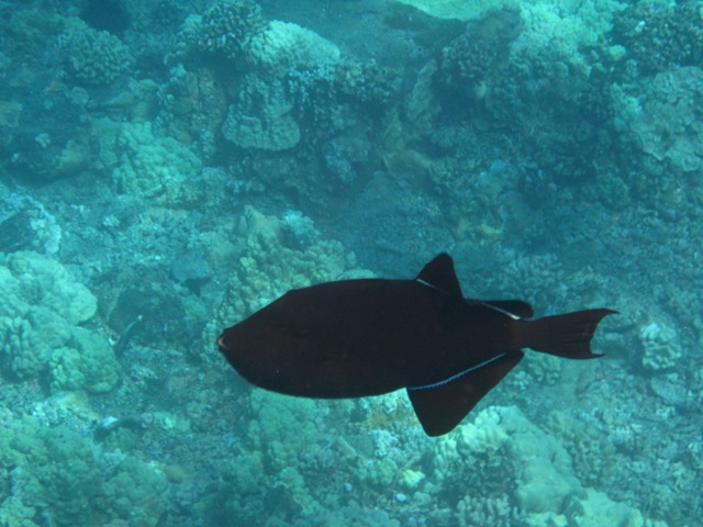 [IMG_3460%255B3%255D.jpg]