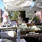 Digital StillCamera