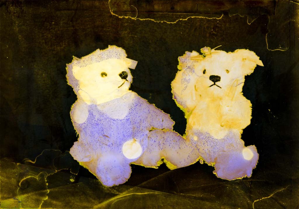[Split-Toned-Prints---Bears-2-H%255B6%255D.jpg]