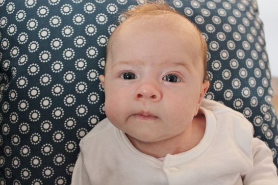 IMG_6579 IMG_6579