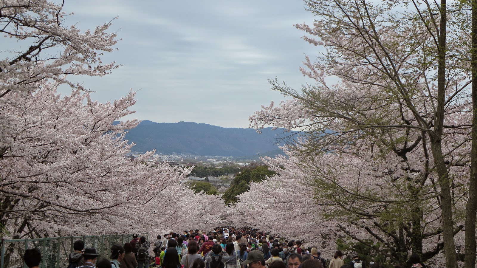 [IMG_2716%255B3%255D.jpg]