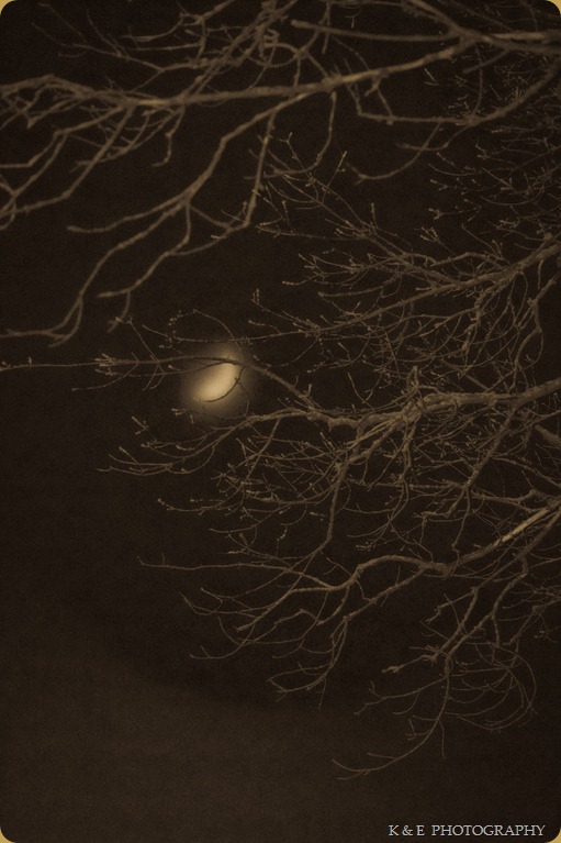 Foggy Moon (1 of 1)-2