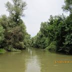 IMG_5198.JPG