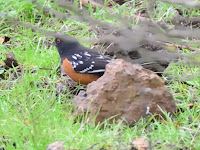 DSC_0314.jpg