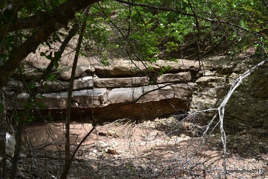 Dry Creekbed