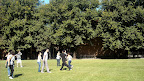 20100327154556DSCN0421.JPG