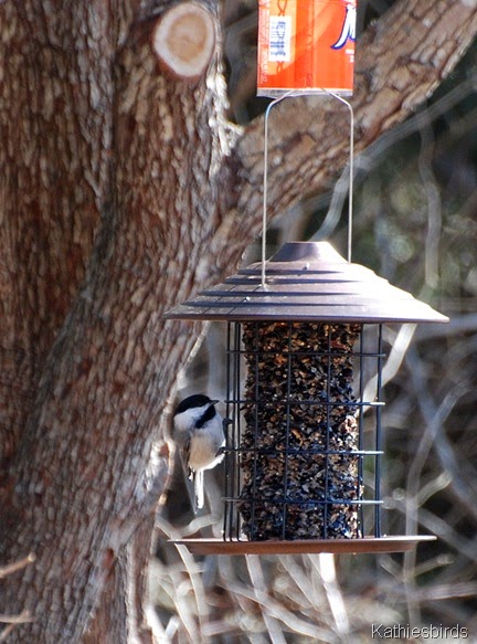9. feeder-kab 9. feeder-kab