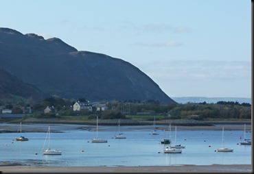 estuary 020