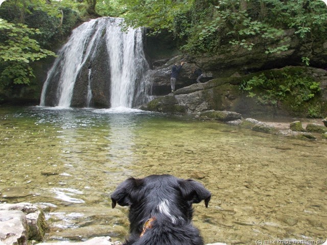 lucky watches the attempt on janets foss cave
