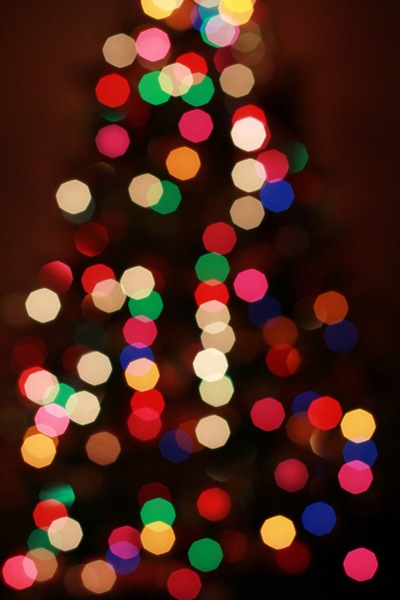 [tree3%255B8%255D.jpg]