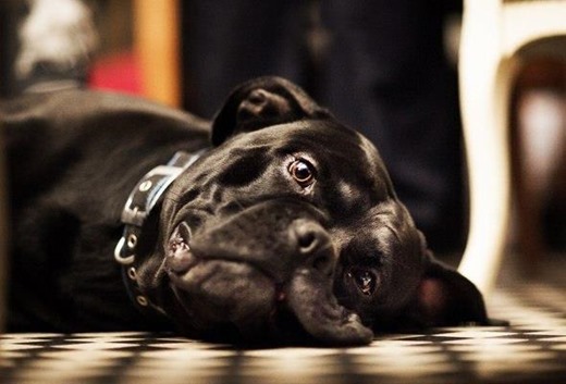 [581577_10150758846019775_2047419327_n%255B3%255D.jpg]