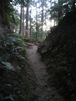 IMG_4882_512.JPG