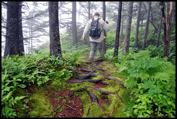 22 - starting coastal hike