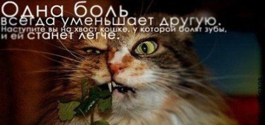 [548876_220750721381713_791548705_n%255B5%255D.jpg]