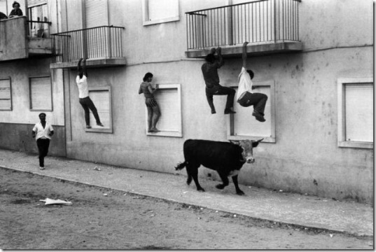viral-picdump-pics-8