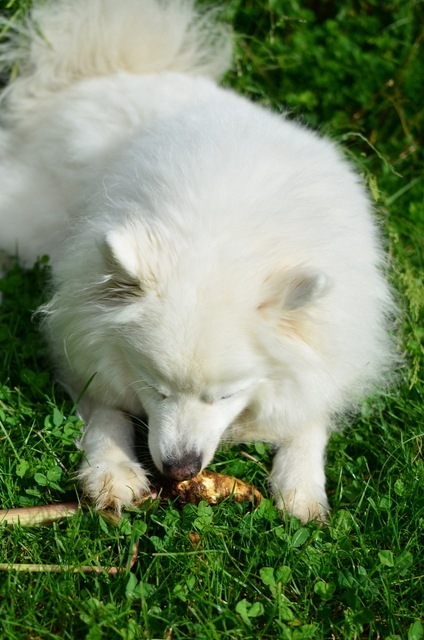 [DSC_0025%255B6%255D.jpg]