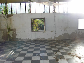 DSCF0984.JPG