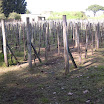 DSCN1694.JPG