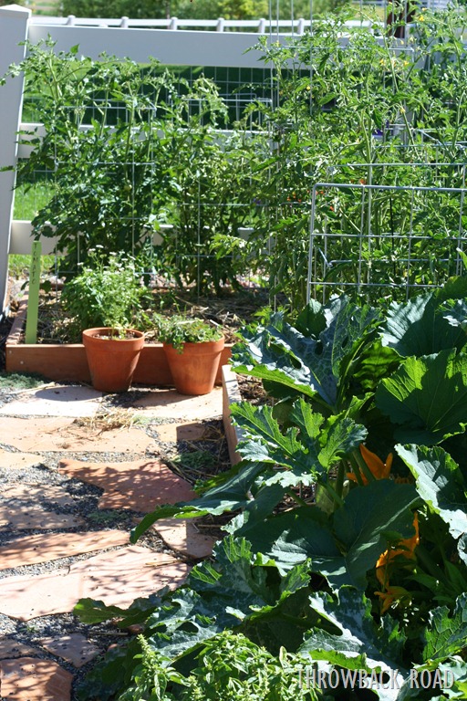 [garden%2520walk%2520July%252017%2520024%255B5%255D.jpg]