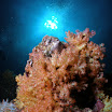 201209 Ko Haa-133.jpg