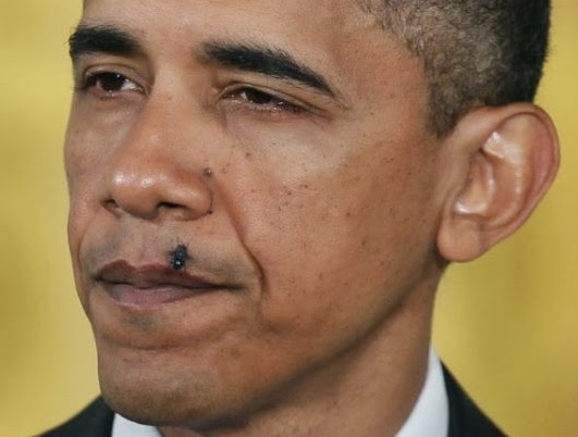 [obama-fly%255B4%255D.jpg]
