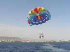 p1287406706(15).jpg
