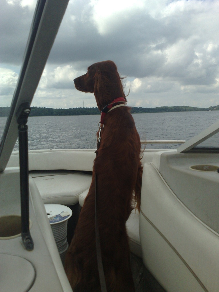 [Bild326%255B4%255D.jpg]