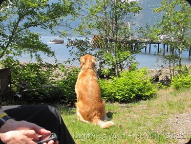 IMG_6125 IMG_6125