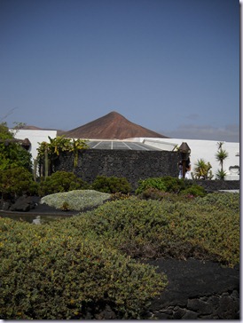 Lanzarote mare 562