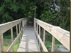 IMG_5893 IMG_5893