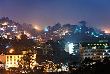 Buildings, Pines, and Houses at Baguio City