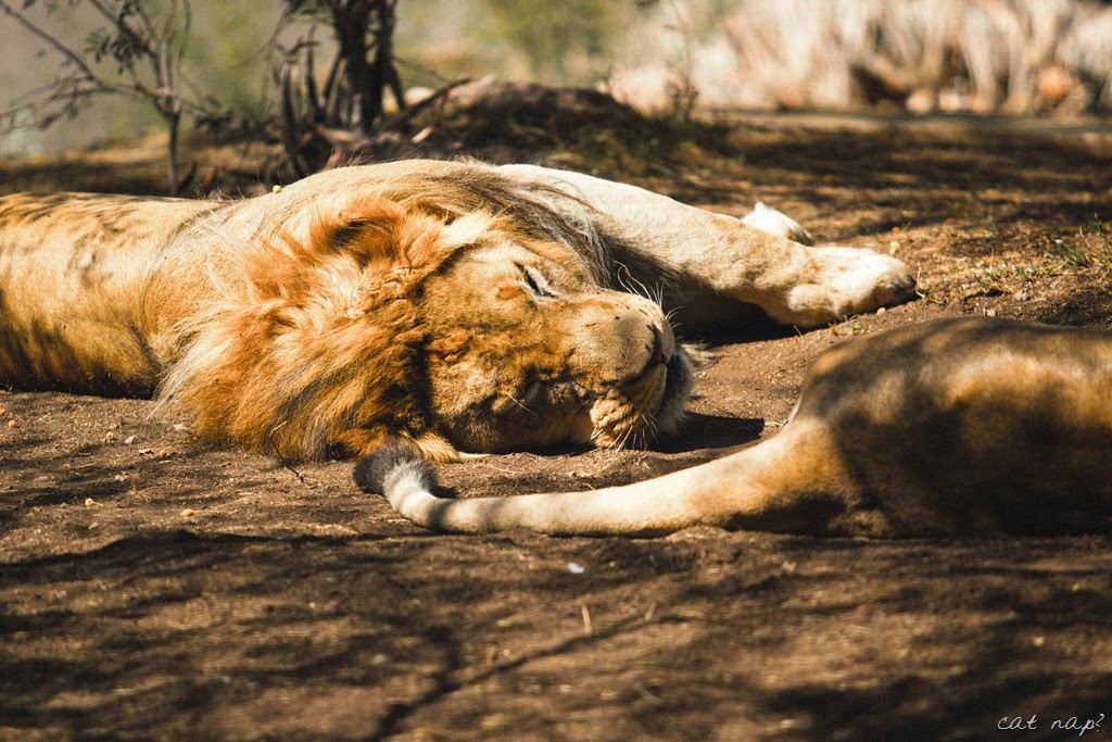 [IMG_5357%255B5%255D.jpg]